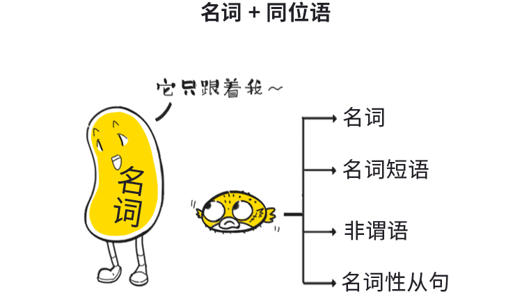 同位语这个小可爱